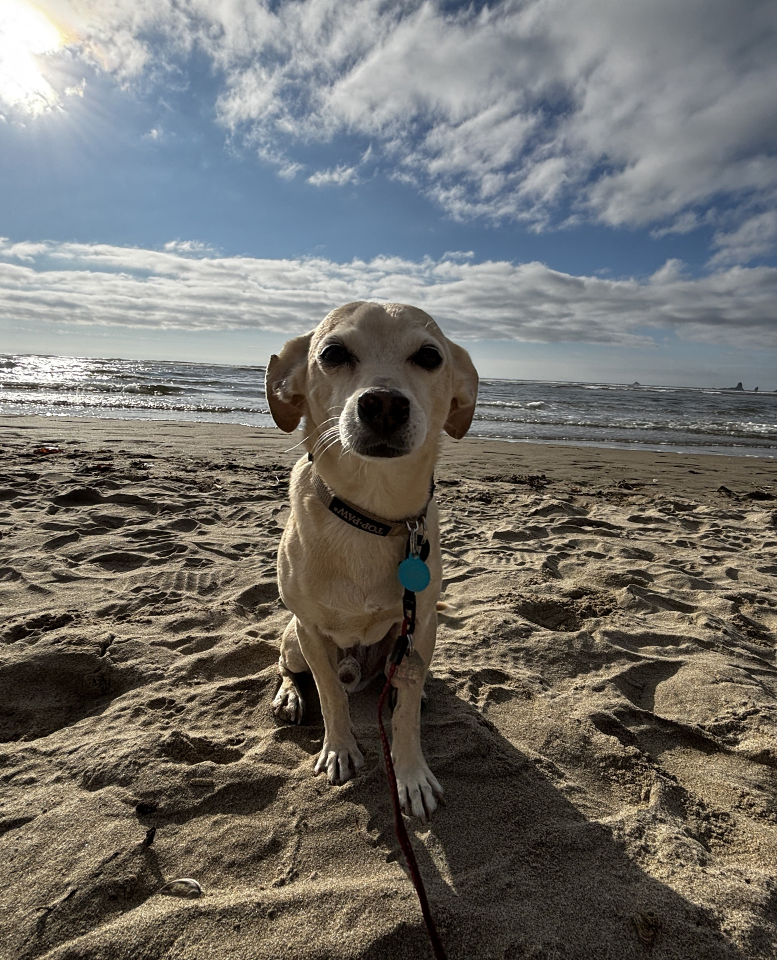 Sami sitting in the sand at Cannon Beach, Oregon, with the ocean and sunlit clouds behind him